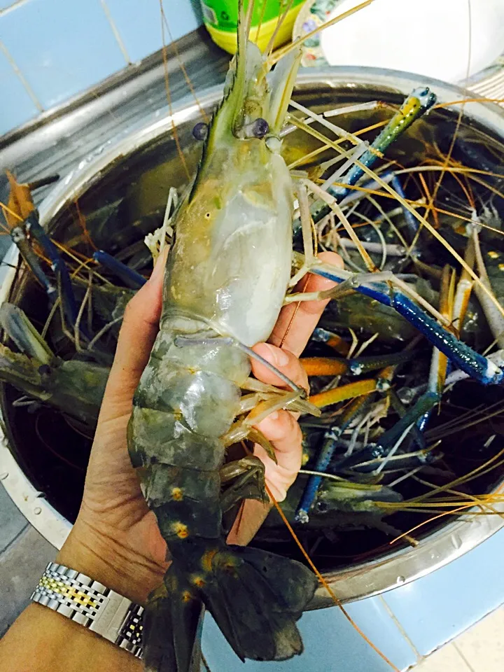 Natural Water King Prawns|Queenさん