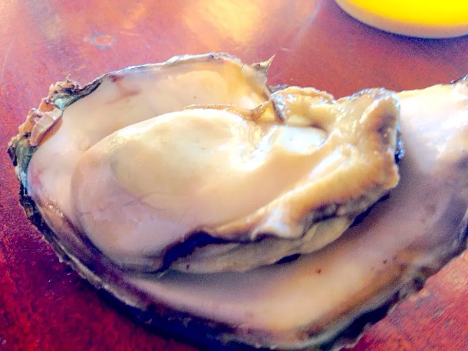 Snapdishの料理写真:Yummy oyster!!!|jans floraさん