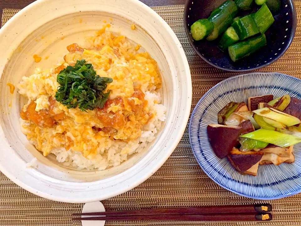 唐揚げ丼   ネギと椎茸の炒め物   きゅうりのぬか漬け|NAKATAさん