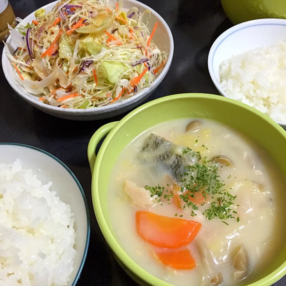 今日の晩ご飯は、鮭と白菜のクリームシチュー、キャベツの胡麻サラダ。|ゆえさん