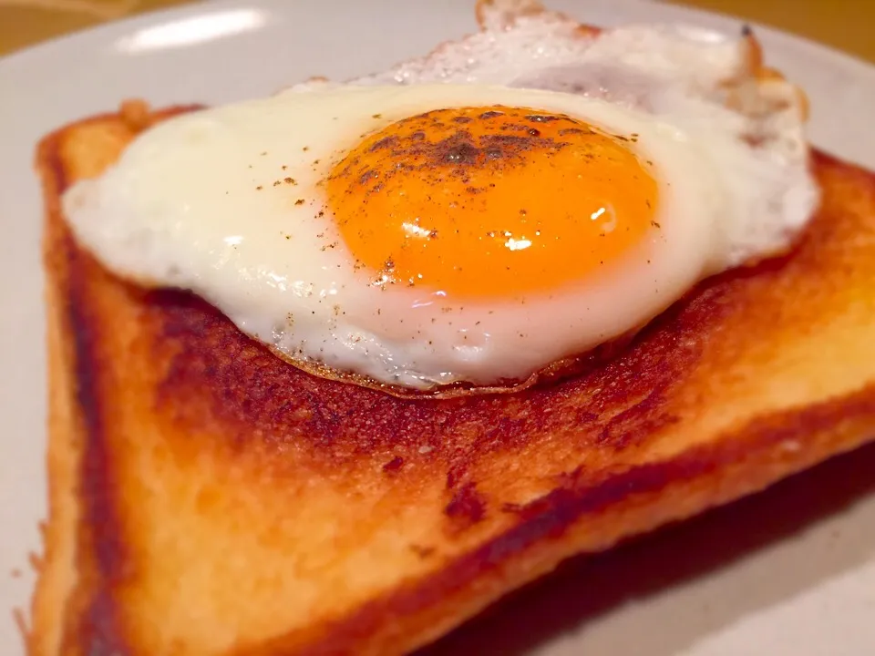 croque-madame|miCciさん