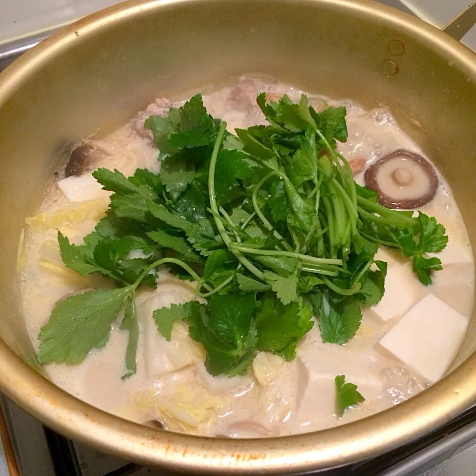 Tonyu Nabe|Kath Kanekoさん