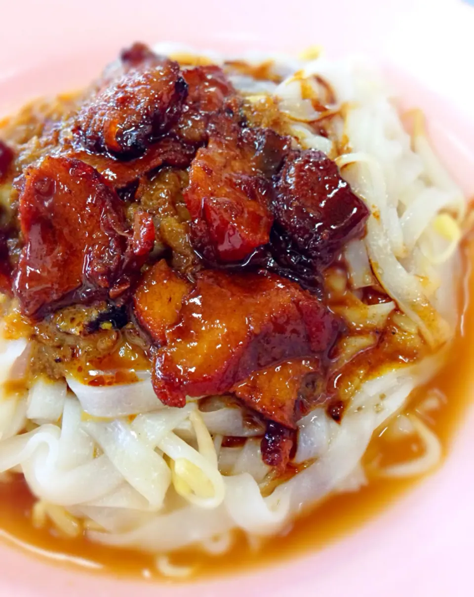 Snapdishの料理写真:Horfun with char siew(Bbq pork) and dry curry, Ipoh, Malaysia|coxiella24さん