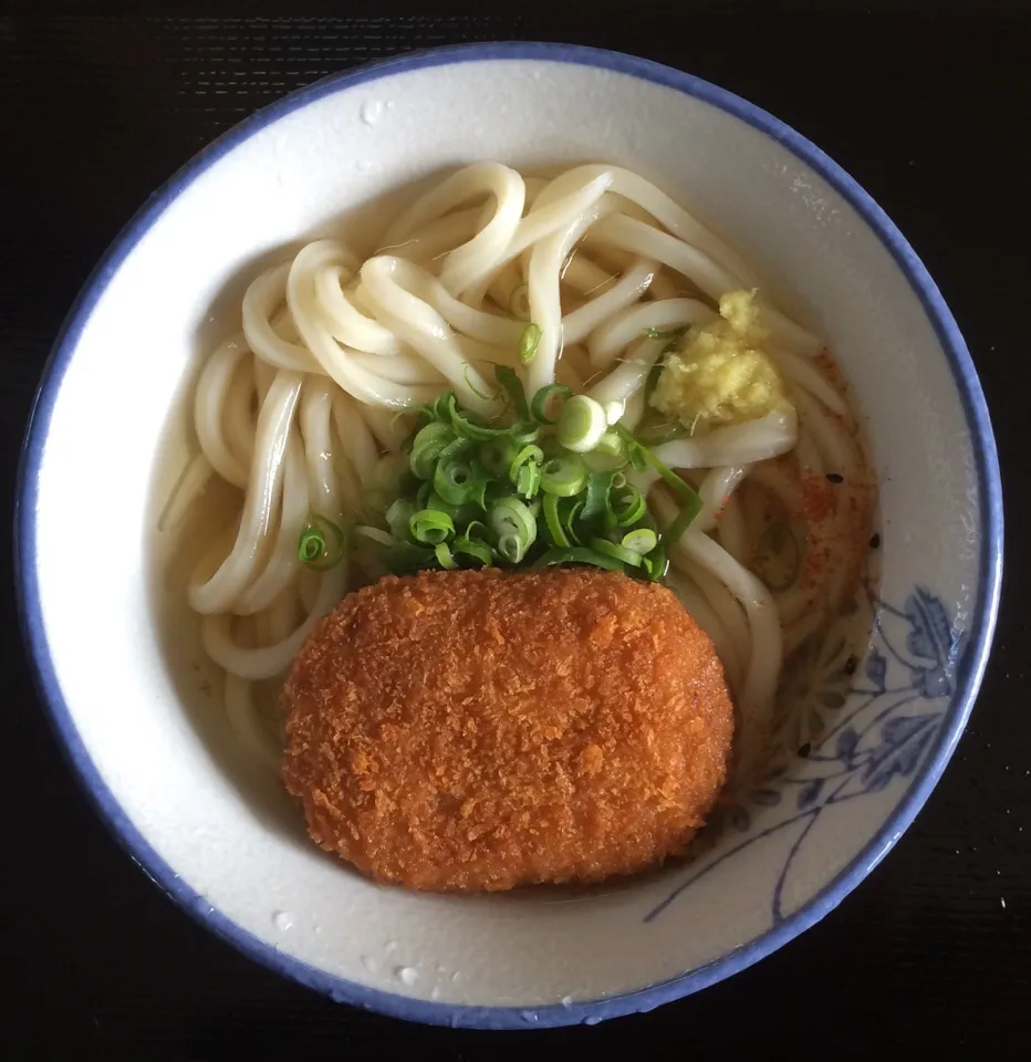 Snapdishの料理写真:『馬渕手打製麺所』のかけうどん+コロッケ|fujii saburoさん