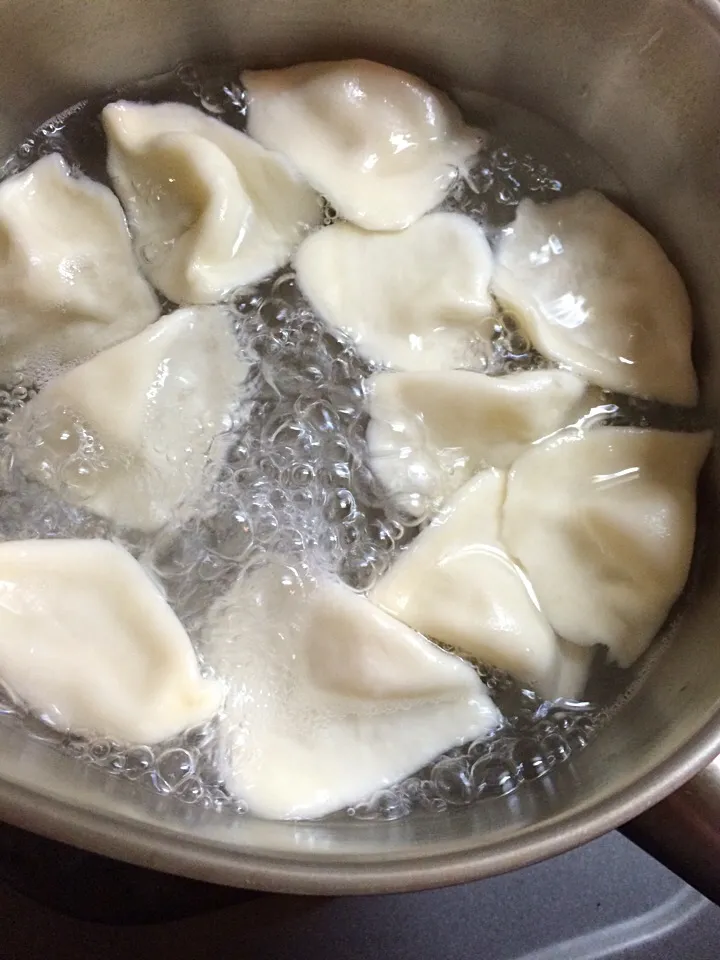 Boiled Gyoza|Nigel Nakadaさん