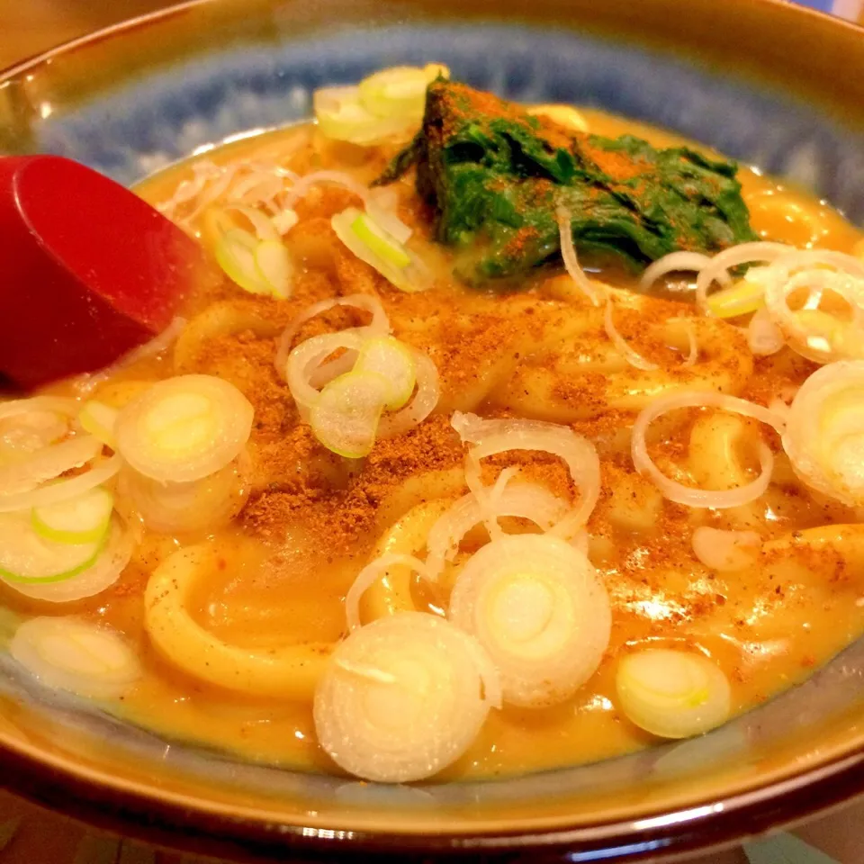 Snapdishの料理写真:カレーうどんで夕食🍲🍲|かずみさん