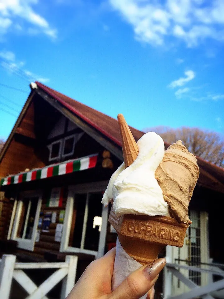 無性にココの🇮🇹ジェラート🍦💕が食べたくて急遽ドライブ🚙💨
今日は☝️😃
搾りたてミルク🍦と
モカコーヒー☕️をダブルで😆💕😋|chieさん