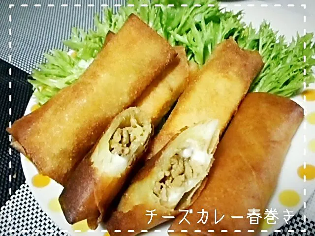 チーズカレー春巻き|めぐチー🌿さん