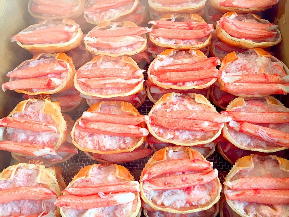 Kani kani|Art Yuudhaさん