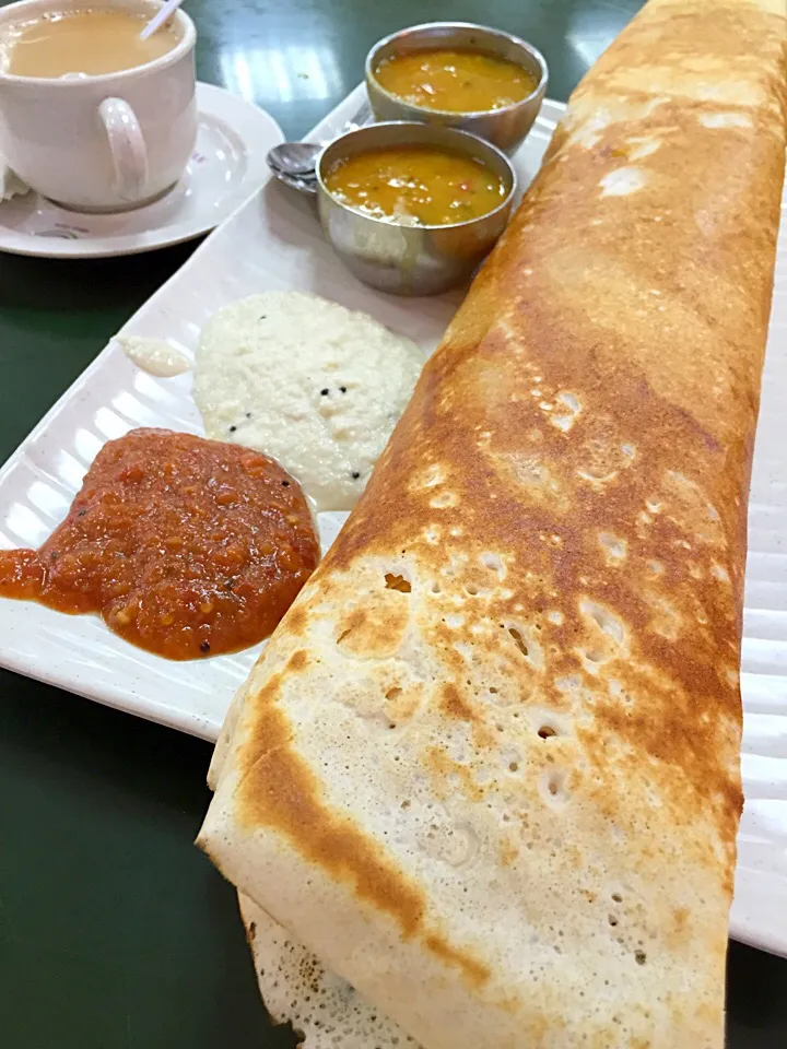 Indian thosai|sgさん