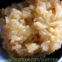 Snapdishの料理写真:#brawnjasminerice #brownrice #jasminerice #hommali #Organic|pornsukさん