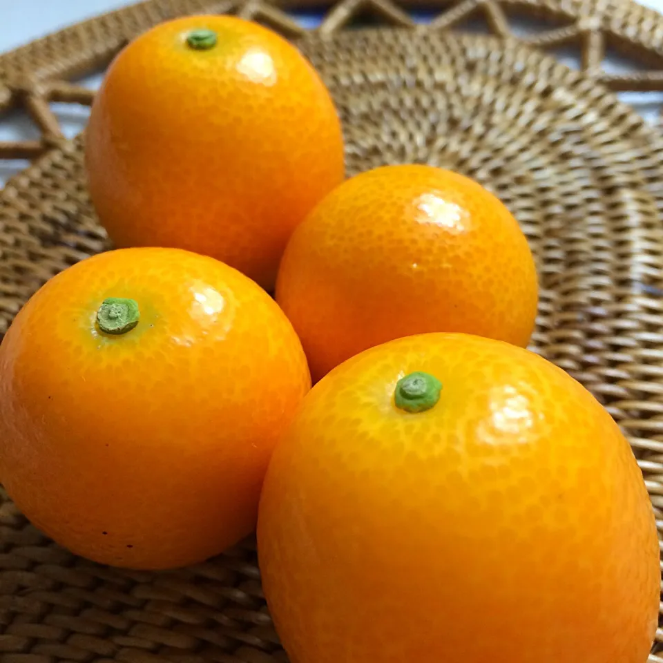 いただきもの（＾∇＾）
宮崎県の完熟きんかん「たまたまエクセレント」|しーさん