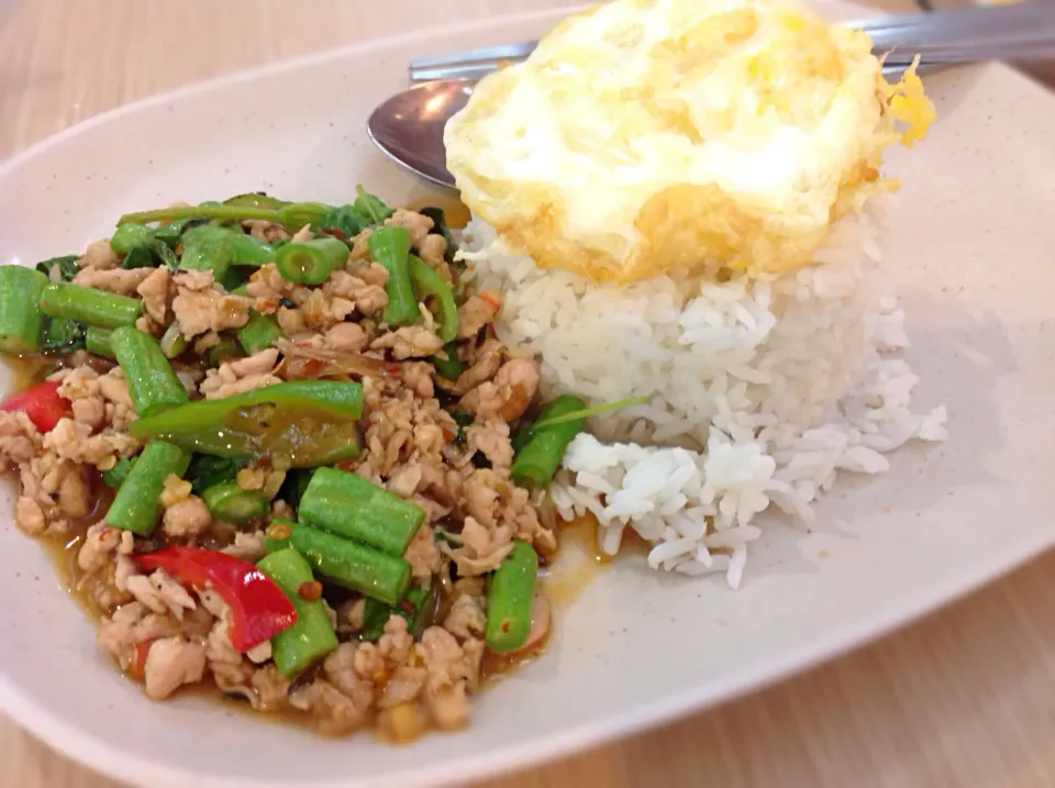 日本でも有名になった「ガパオライスwith 目玉焼き😋|アライさんさん