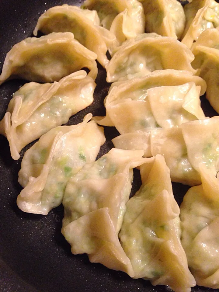 Gyoza from scratch!|mさん