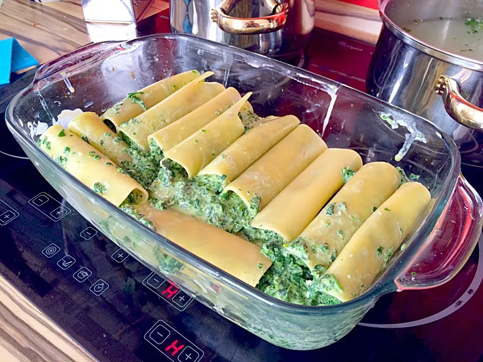 Snapdishの料理写真:Canelloni|Marek Brabecさん