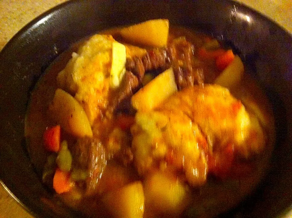 Moose meat stew with dumplings|virginia frasseさん