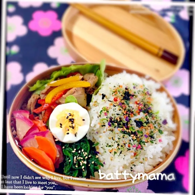 Snapdishの料理写真:焼肉弁当〜♡battymamaの節約しても美味しいお弁当♡|ばってぃーまま＠♪さん