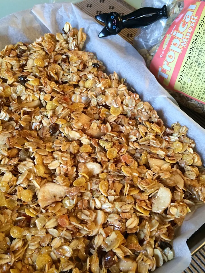 Homemade Granola bars!!|Nigel Nakadaさん