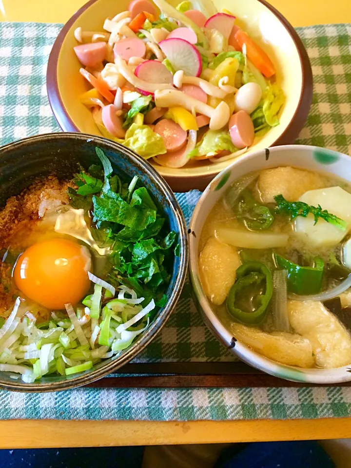 魚肉ソーセージサラダ、卵かけご飯の昼ご飯|hiromangeさん