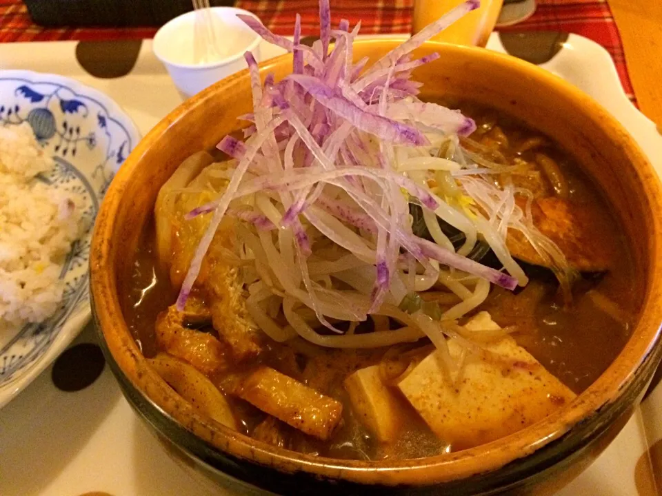 身体に優しい野菜スープカレー 「とら」旬野菜カレー|野口裕司さん