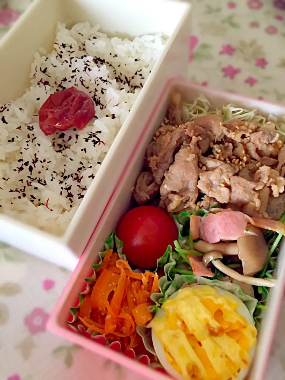 11/9 お弁当★|さとみさん