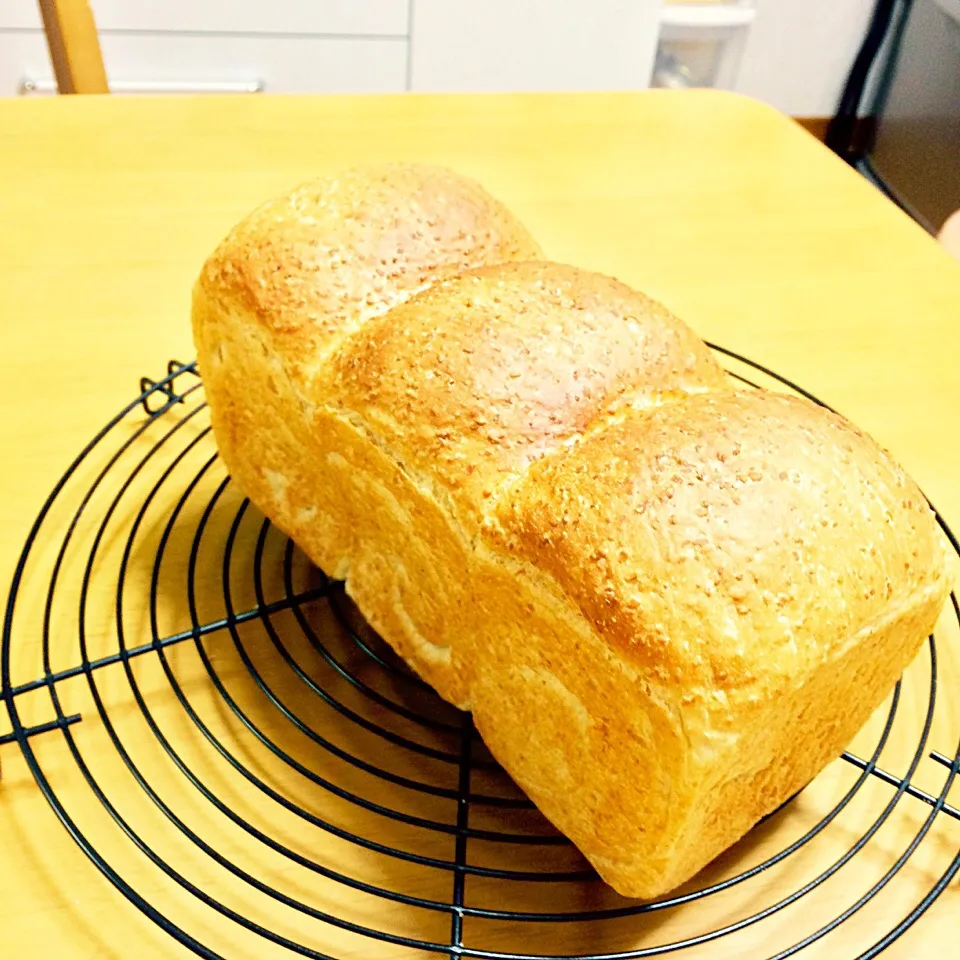 またまた登場‼️オーツ麦ふすま入り食パン🍞|ブー吉さん