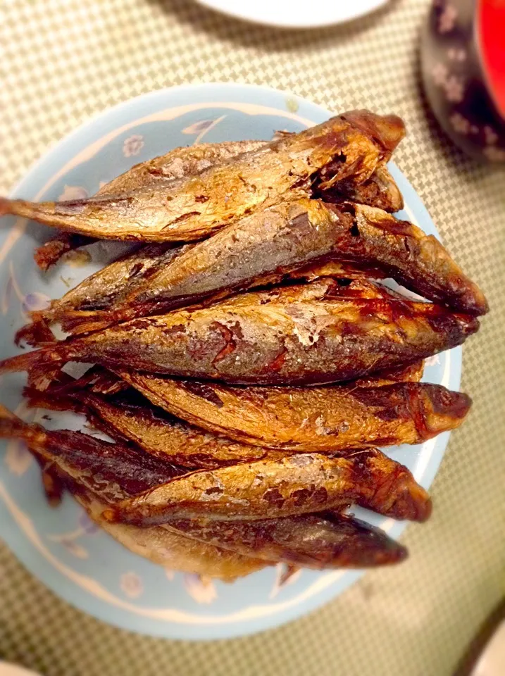 FisH TiNaPa|GeMzKiTchさん