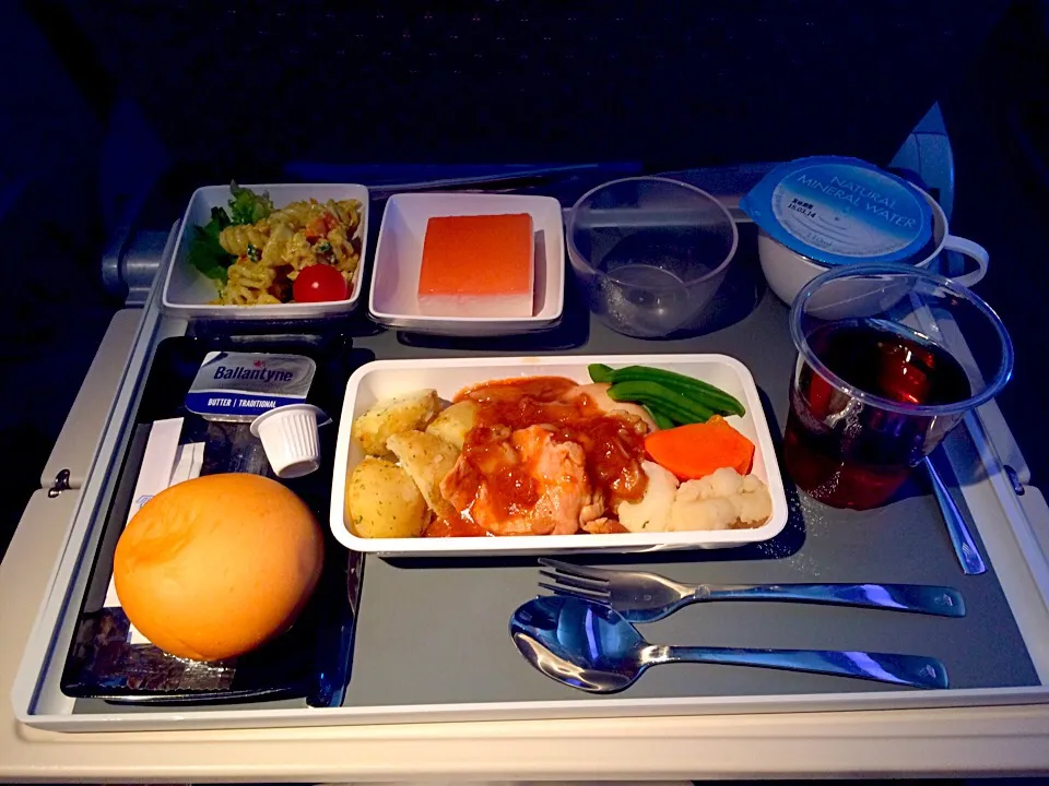 Singapore Airlines dinner,from Narita to Singapore|Koichi GOGOさん