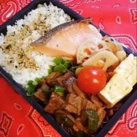 Snapdishの料理写真:高1男子弁当|Tomokoさん