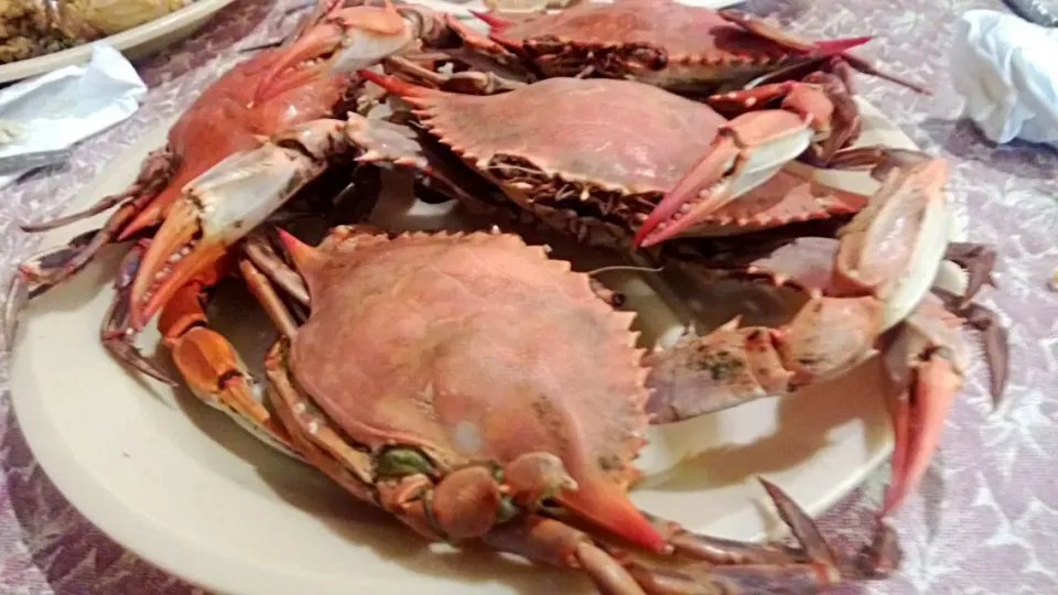 Crabs at Lafluers #Seafood #Snack with My Lil Foodie Princess #Crabs #Louisiana|Alisha GodsglamGirl Matthewsさん