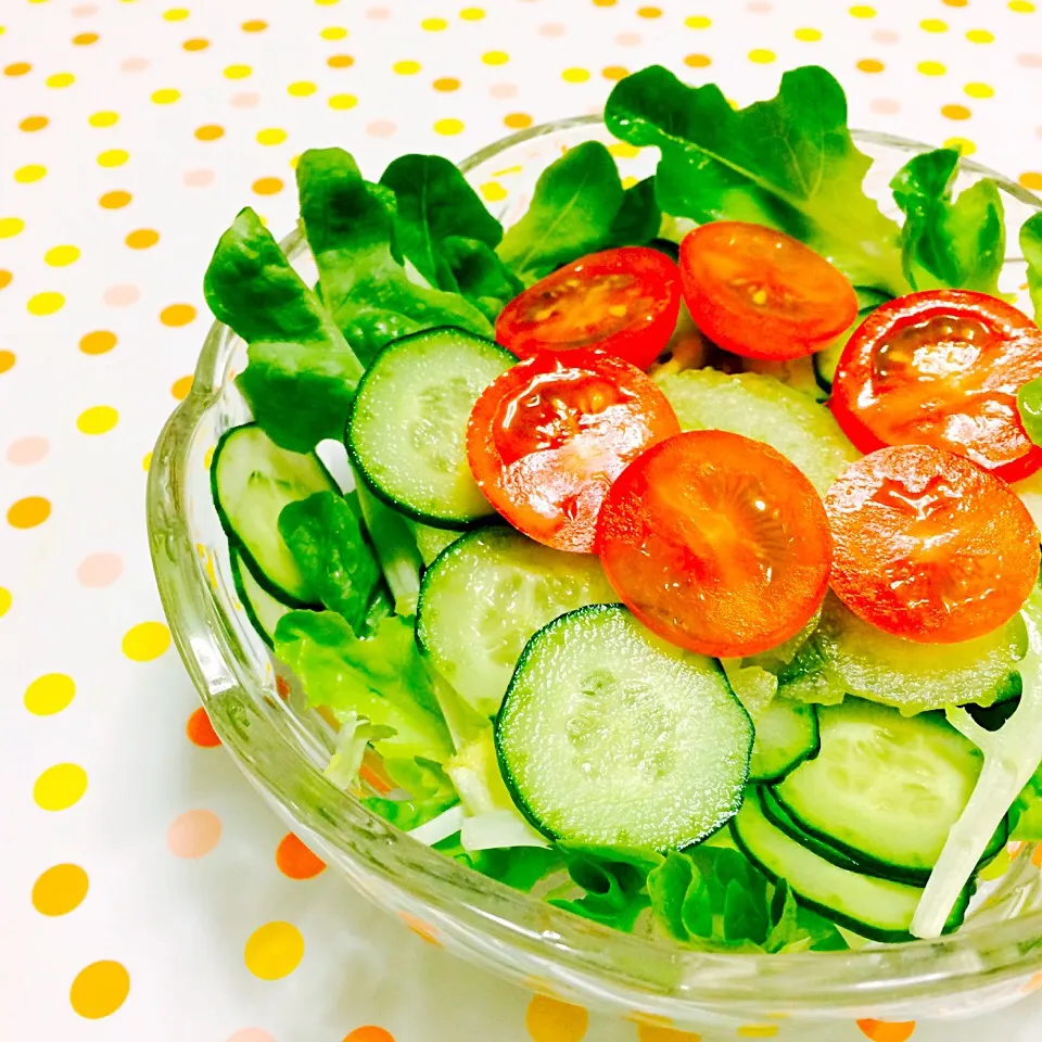 レタスとミニトマトときゅうりとセロリのシンプルサラダ🍅|ブー吉さん