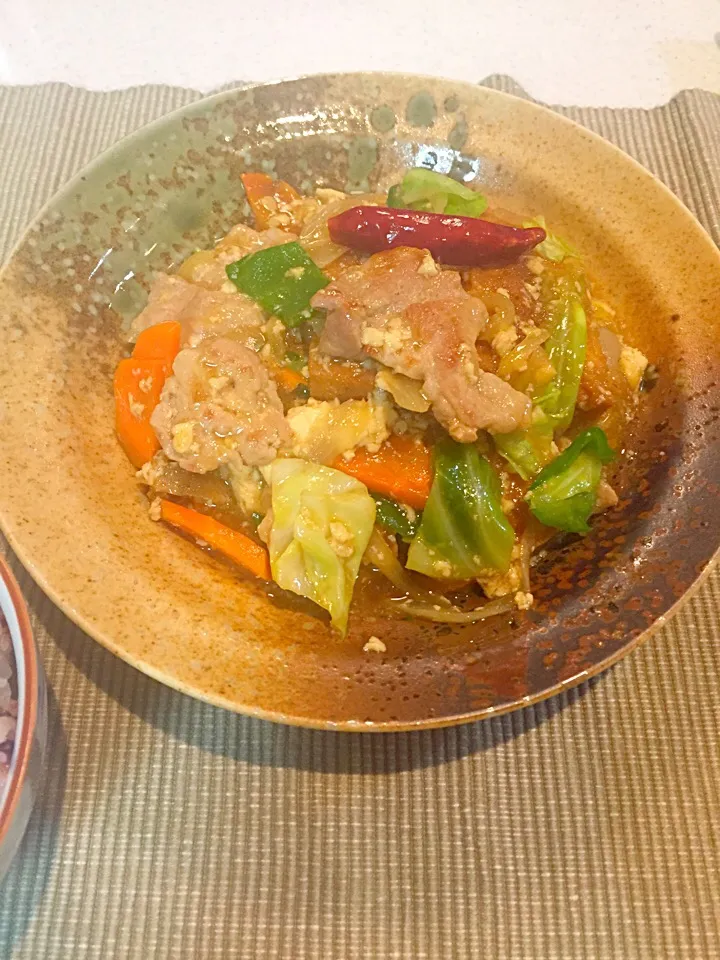 Snapdishの料理写真:甜麺醤で家常豆腐|zoemocさん