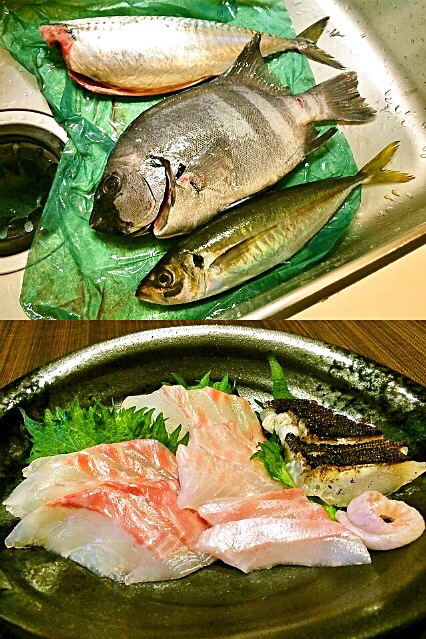 石鯛の活け造り 1 1kg Hisoka7 Snapdish スナップディッシュ Id Akagba