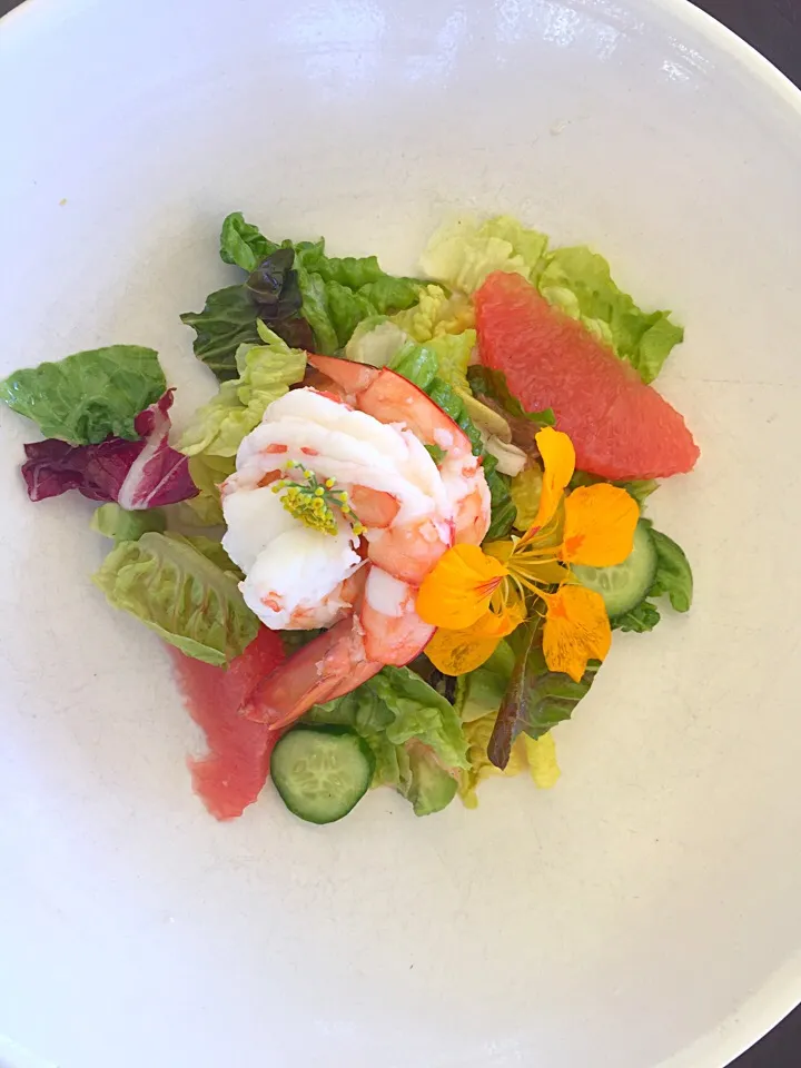 Prawn and grapefruit salad|bruce glazerさん