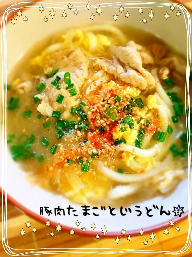 豚肉たまごとじうどん|MAPITEEさん