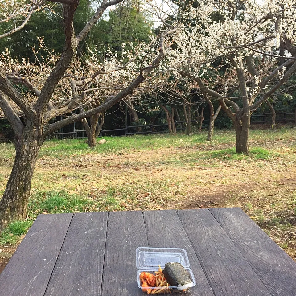 Snapdishの料理写真:公園ランチ（おにぎり、から揚げ、キンピラ）|純さん