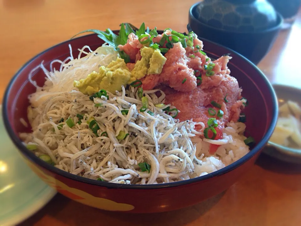 昼ごはん 中落ちしらす丼|ぽんたさん