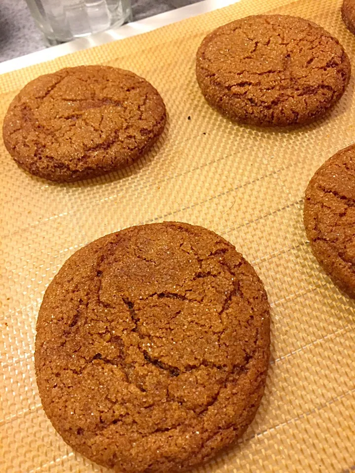 Baconfat Gingersnap Cookies|Chris Shannonさん