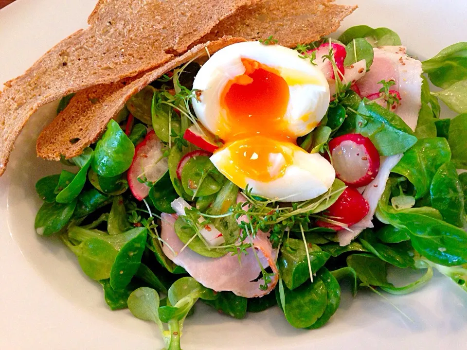 Snapdishの料理写真:Viennese Salad with egg, cress, ham and radish|Aliceさん