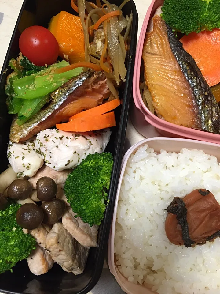 今日のお弁当|chiinaさん