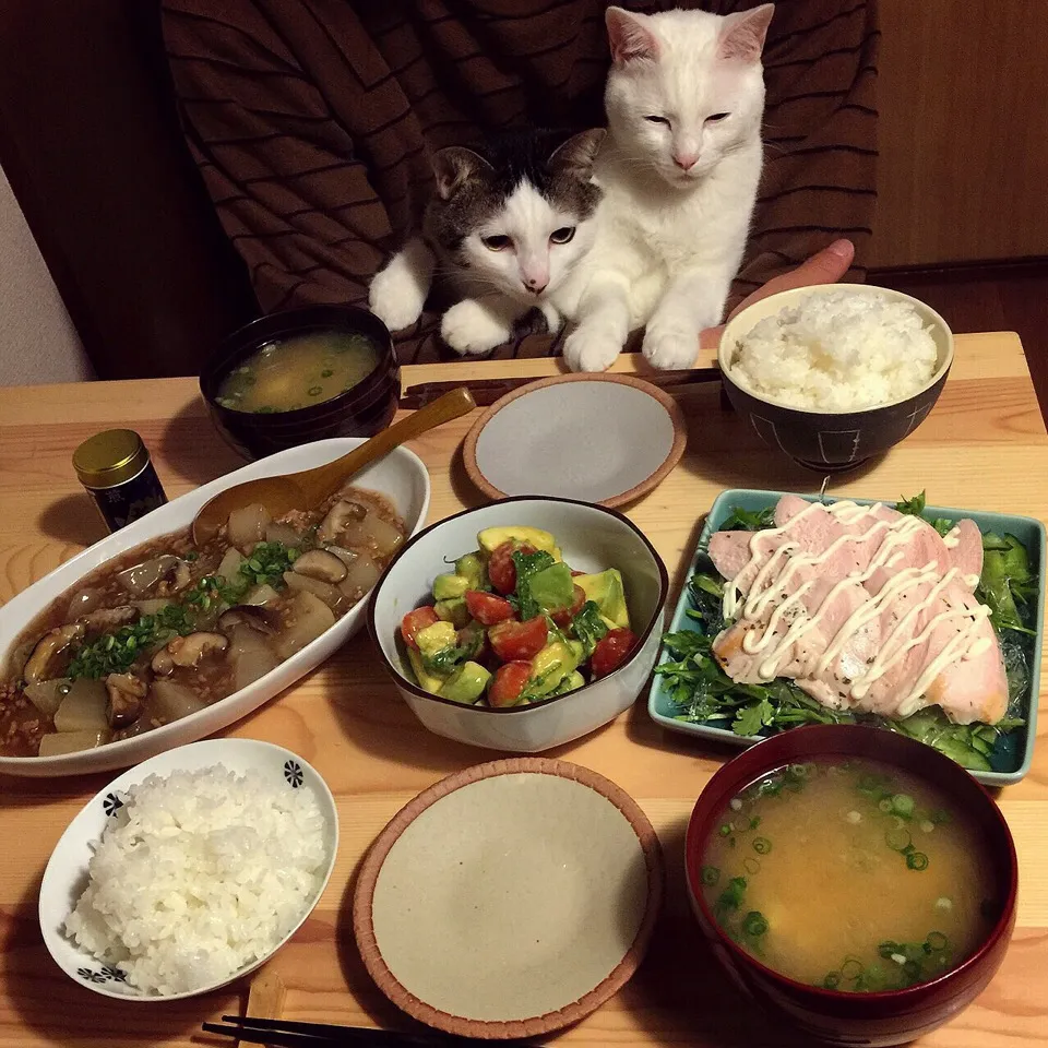 大根と椎茸のそぼろ餡かけ。サラダ2種類。|naouさん