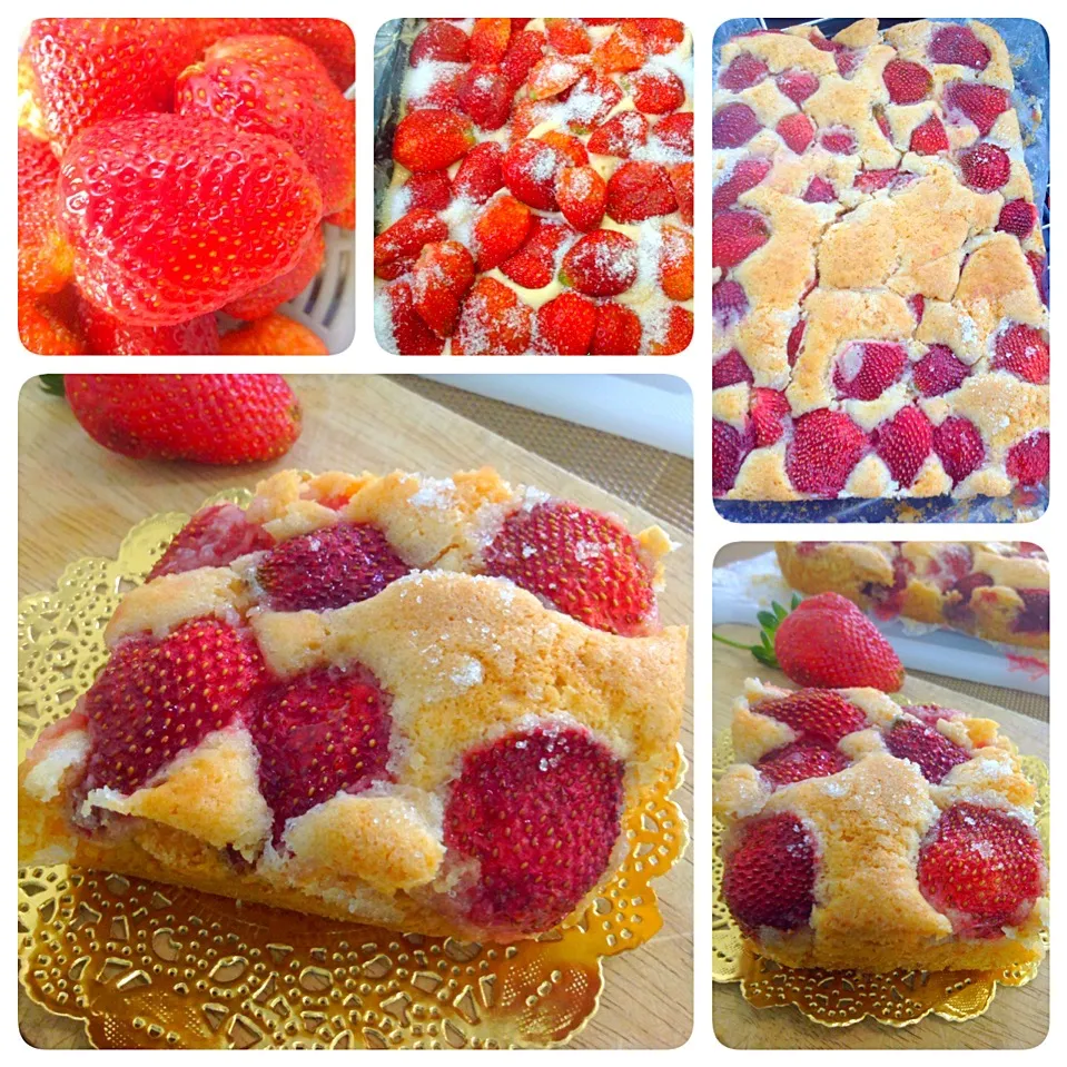 Strawberries cake🍓😍|🍃aeyafternoon🌾さん