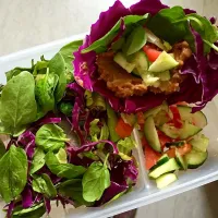 Tossed salads with purple cabbage tacos filled with vegan  refried beans, tomato, cucumber and onion