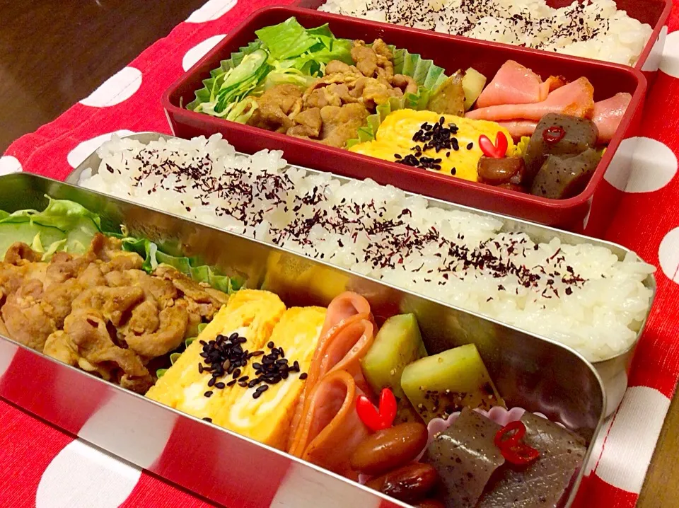 Snapdishの料理写真:20150227お弁当|みきさん