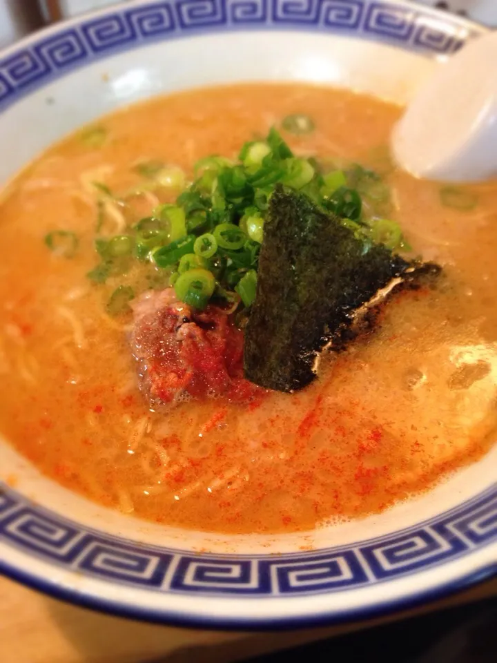 大阪キタ 万年 / 鰹だしの効いたラーメン|FU-TEN 古原貴大さん