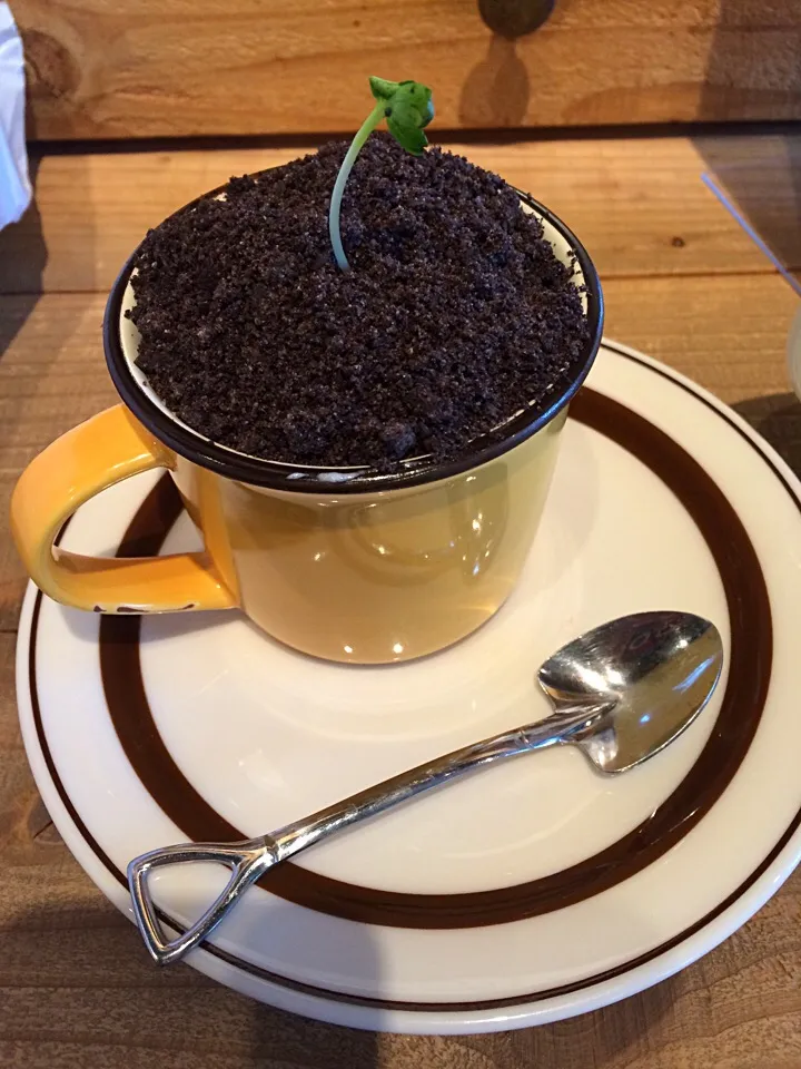 Tiramisu @ Tokyu Hands' popup bonsai cafe|Ong Sor Fernさん