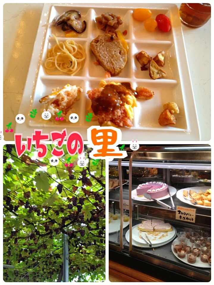 Snapdishの料理写真:3年位前の秋にぶどう狩りしてました🍇|みきぴょん♪さん