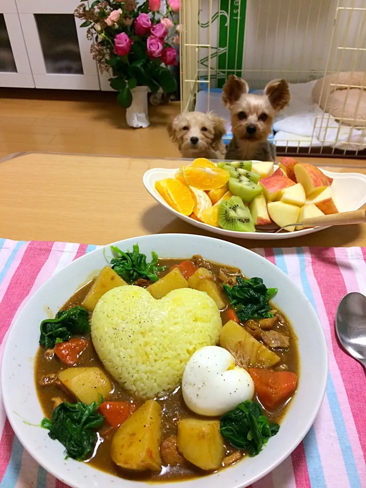 ☆ チキンほうれん草カレー|Fuyumi Nakanoさん