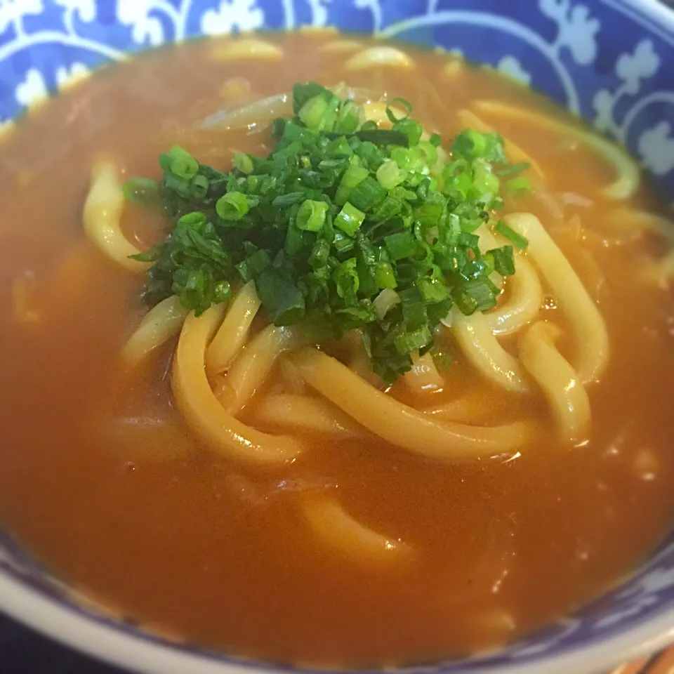 Snapdishの料理写真:カレーうどん|あるのさん