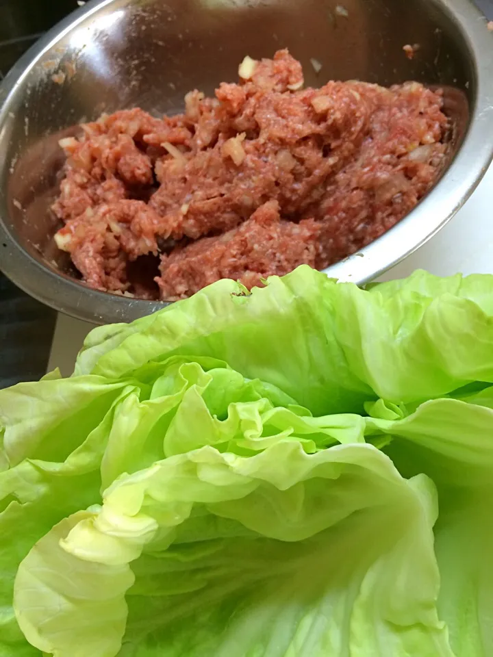 Spring cabbage.. Rolled cabbage for tonight|Nigel Nakadaさん